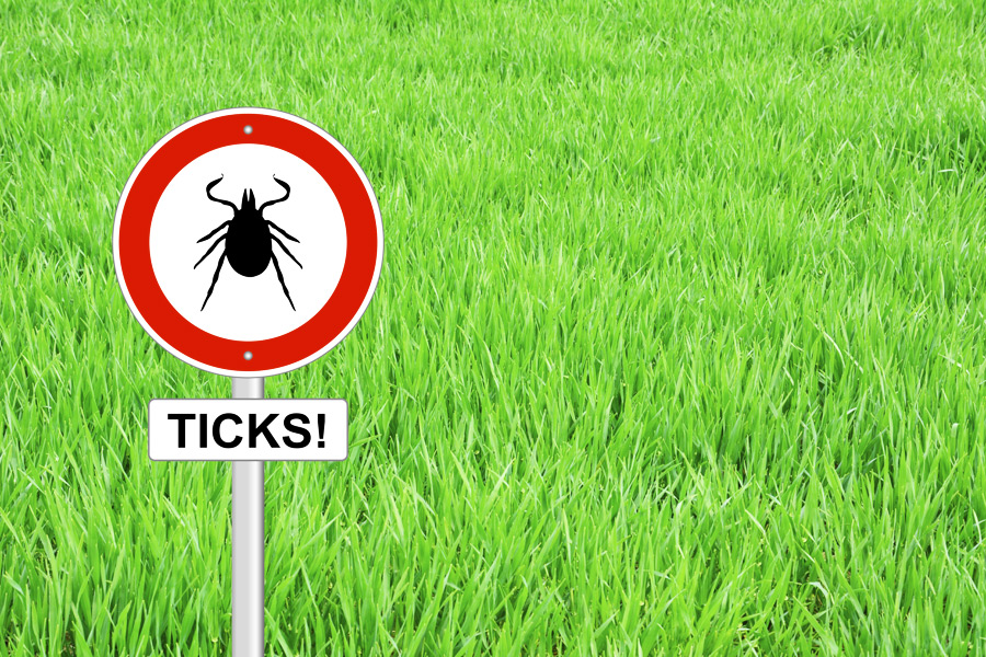 There's ticks in them thar lawns!