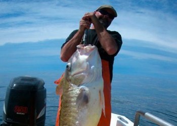 Captain Ralph Towlen.