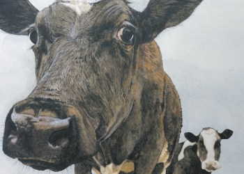 Dan's Papers cover by Toby Haynes (Detail)