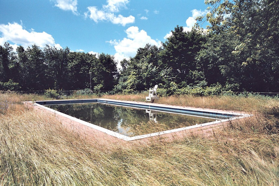 "Bull in the Heather" by Tom Dash