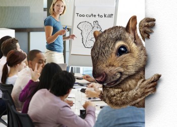 Too cute to kill squirrel