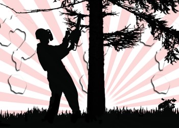 Treegate is a Hamptons whodunit