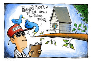Tree house cartoon by Mickey Paraskevas