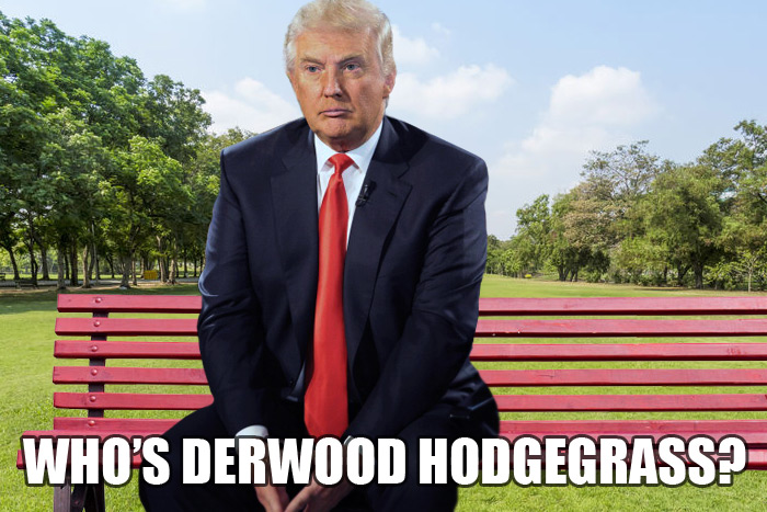 trump vs derwood hodgegrass meme