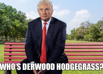 trump vs derwood hodgegrass meme