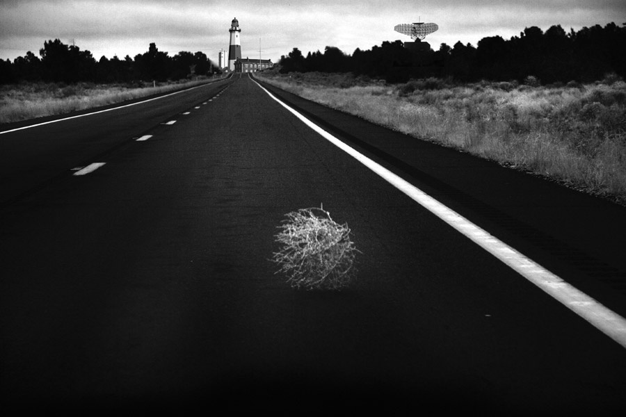 Tumbleweed Tuesday