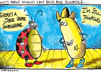Twinkie News