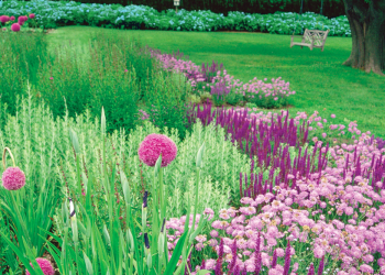 Unlimited-Earth-Care-Flowers