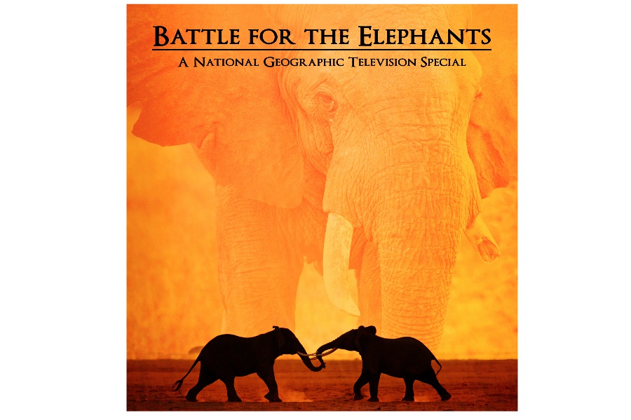 Battle for the Elephants