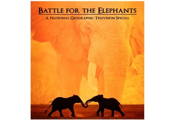 Battle for the Elephants