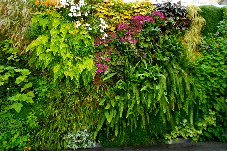 A colorful vertical garden.