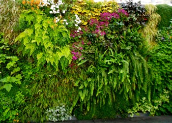 A colorful vertical garden.