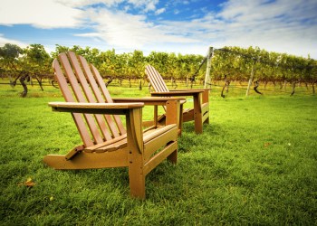 Check out a North Fork vineyard this weekend