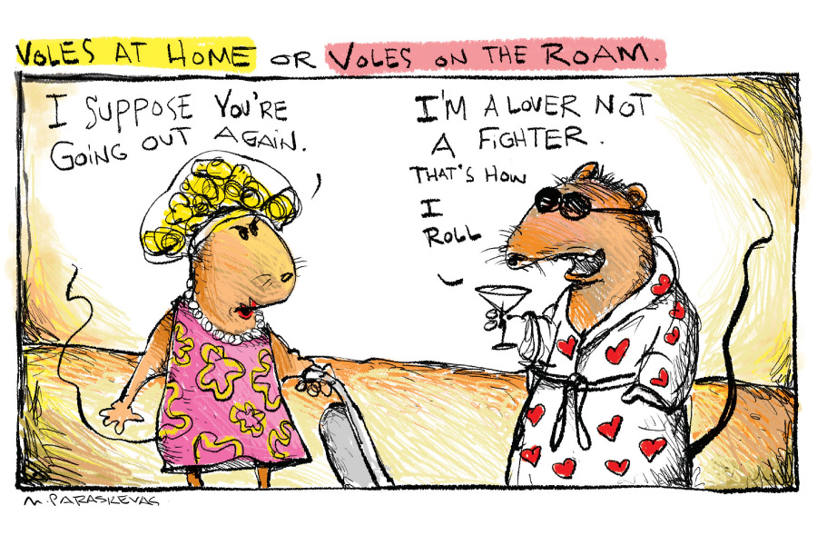 Voles cartoon by Mickey Paraskevas