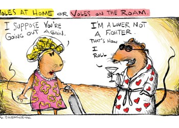 Voles cartoon by Mickey Paraskevas