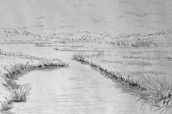 1,200+ Marshes Drawing Stock Photos, Pictures &amp; Royalty-Free ...