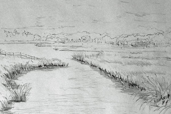 "Salt Marsh," sketch by Casey Chalem Anderson