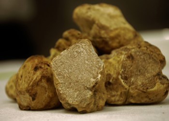 White Truffle