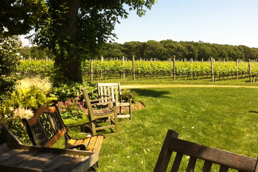 Take a trip around Long Island's Wine Country