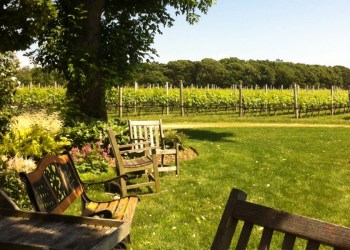 Take a trip around Long Island's Wine Country