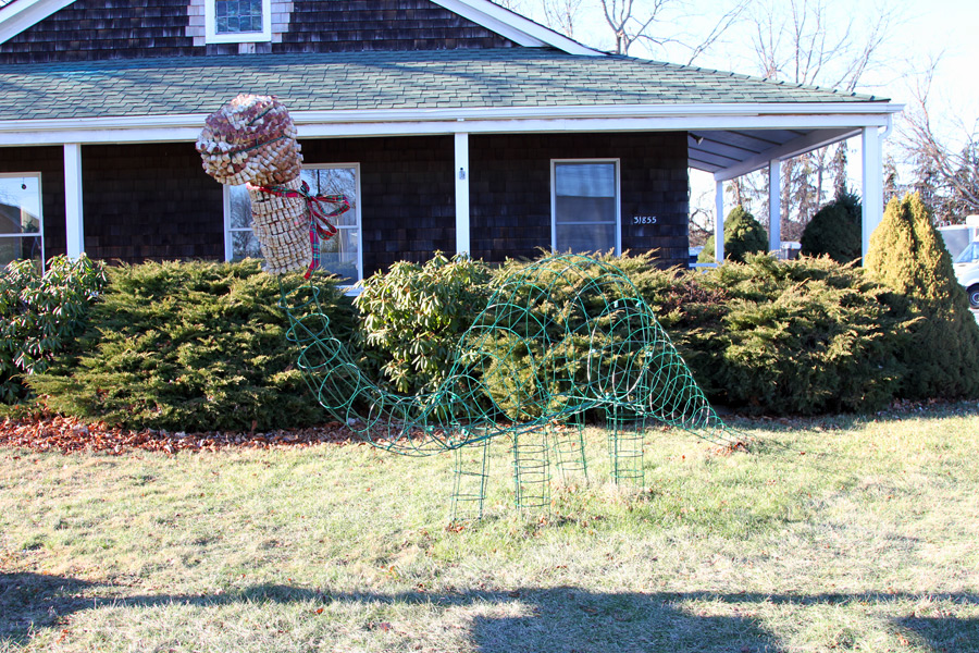 A Winosaur grows at Coffee Pot Cellars in Cutchogue