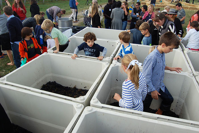 Kids stomp grapes at the Wölffer Harvest Party