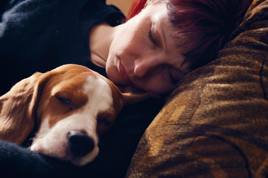 Dog make a great heat source