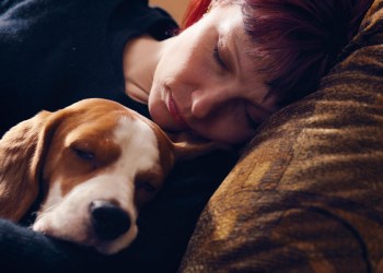 Dog make a great heat source