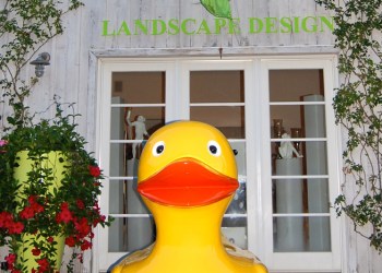 Courtesy Unlimited Earthcare