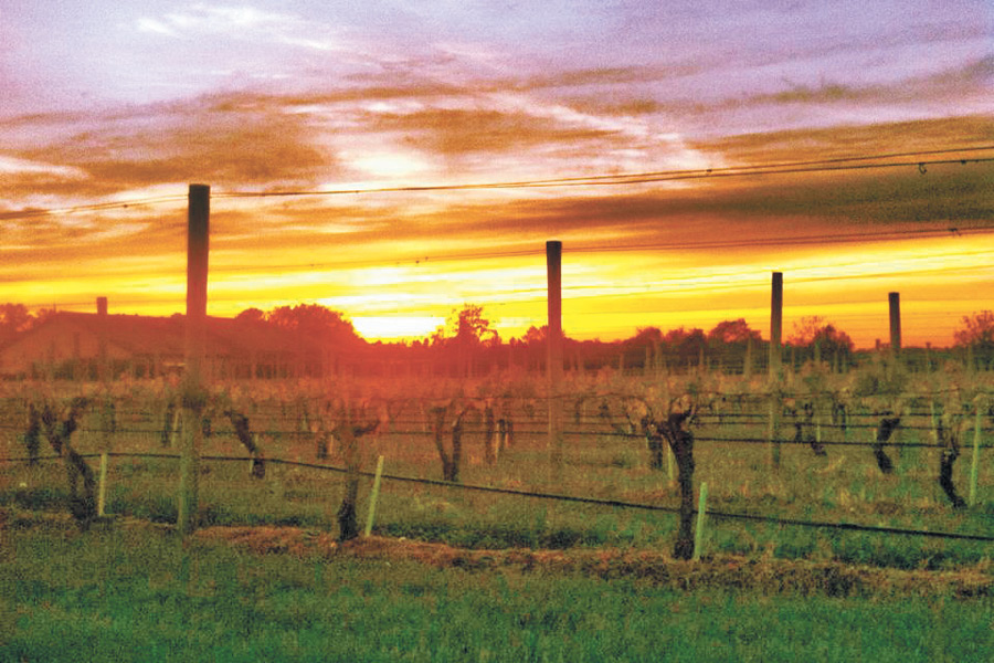 A gorgeous Wolffer sunset during Yoga in the Vines