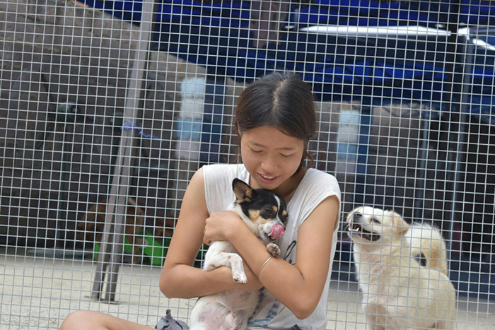 Yulin Meat Festival rescue dogs