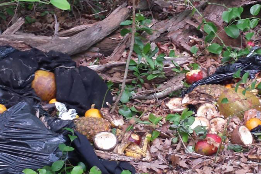The Suffolk SPCA said fruits were found along with goat heads in Riverhead.