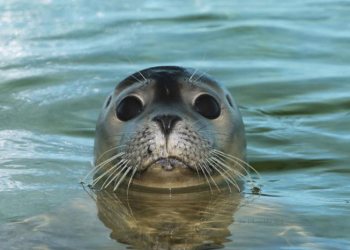 afbe31bb-693f-4269-ad4c-1dd1e4e77726