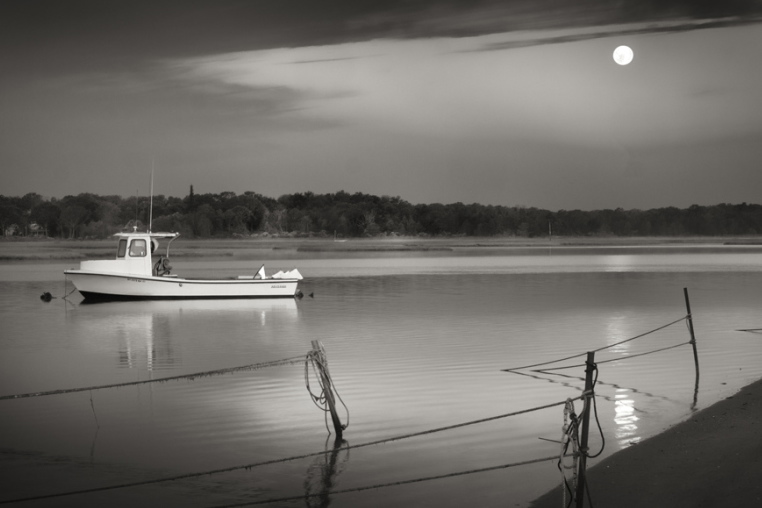 Louse Point Moon by John Todaro.