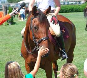 Georgina Bloomberg