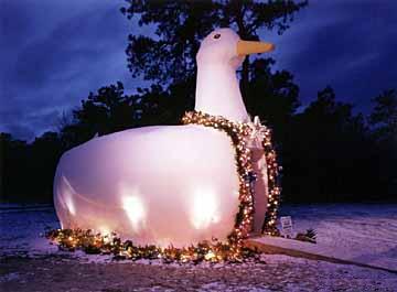 The Big Duck dresses up for Christmas, a Suffolk County Parks Department tradition.