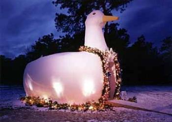 The Big Duck dresses up for Christmas, a Suffolk County Parks Department tradition.