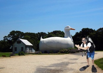 Big Duck, Rich Kids OutrageousBets