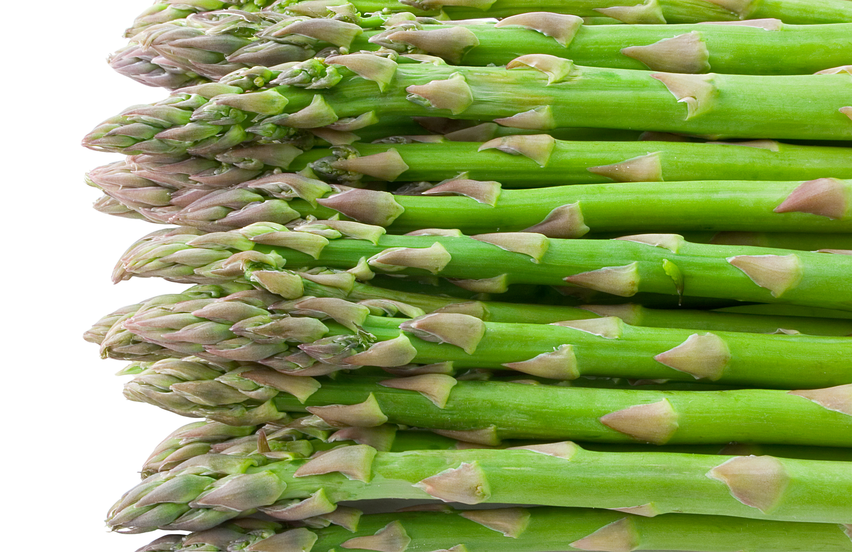 Asparagus