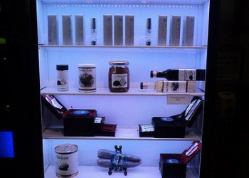 Caviar vendor at Hodgrass mansion