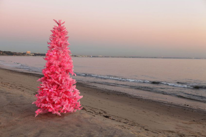 Beach weather is Christmas tree dumping weather!