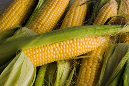 corn