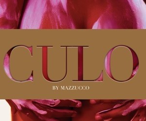 culo_book_cover-thumb-300×417-105324