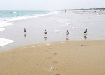 Cupsogue Beach at Cupsogue County Park.
