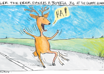 deer