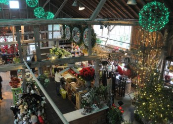 Open House 2013 at Marders