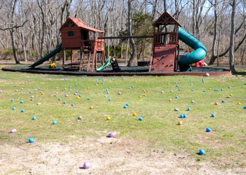The grounds of CMEE at last weekend's Mad Hatter Egg Hunt.