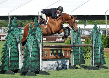 Scott Stewart rode Lucador to win the Regular Conformation Hunter Championship at the 40th annual Hampton Classic.
