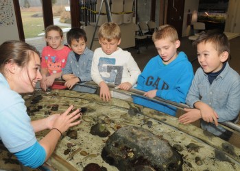 I guess that's why it's called SoFo's Touch Tank