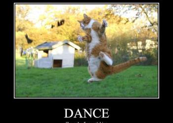 funny-pictures-cat-dances-like-nobody-is-watching